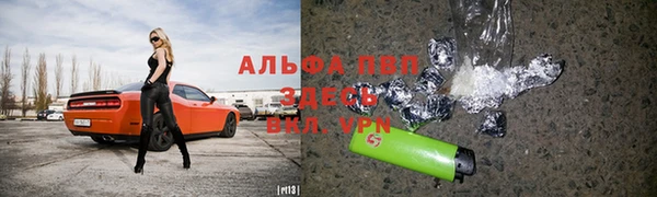 индика Балахна