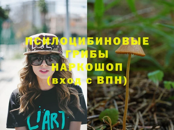 apvp Балабаново