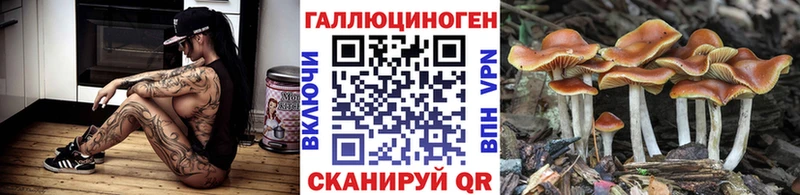omg tor  Снежногорск  Псилоцибиновые грибы Psilocybine cubensis  маркетплейс телеграм  наркота 